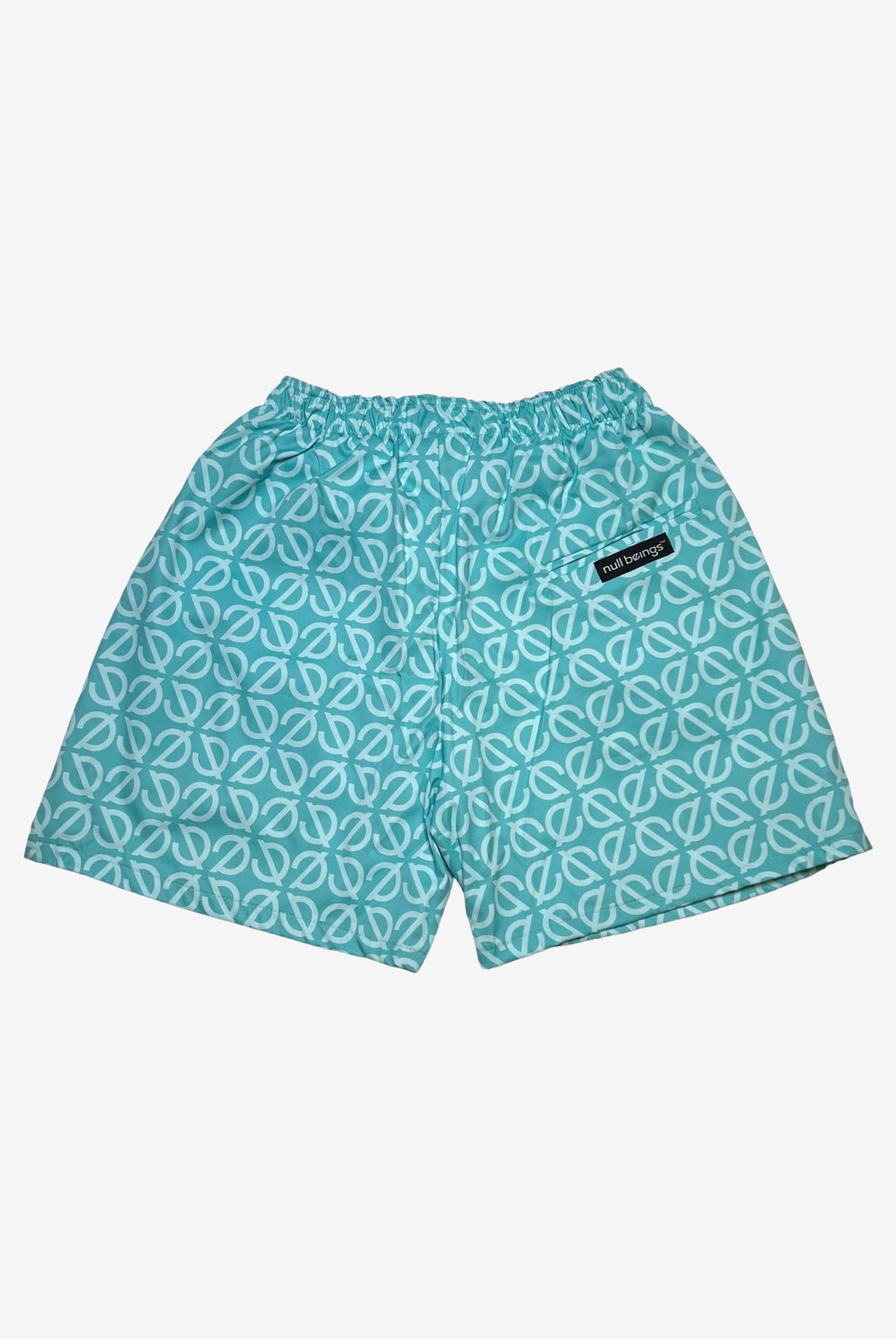 monogram swimsuit /turquoise